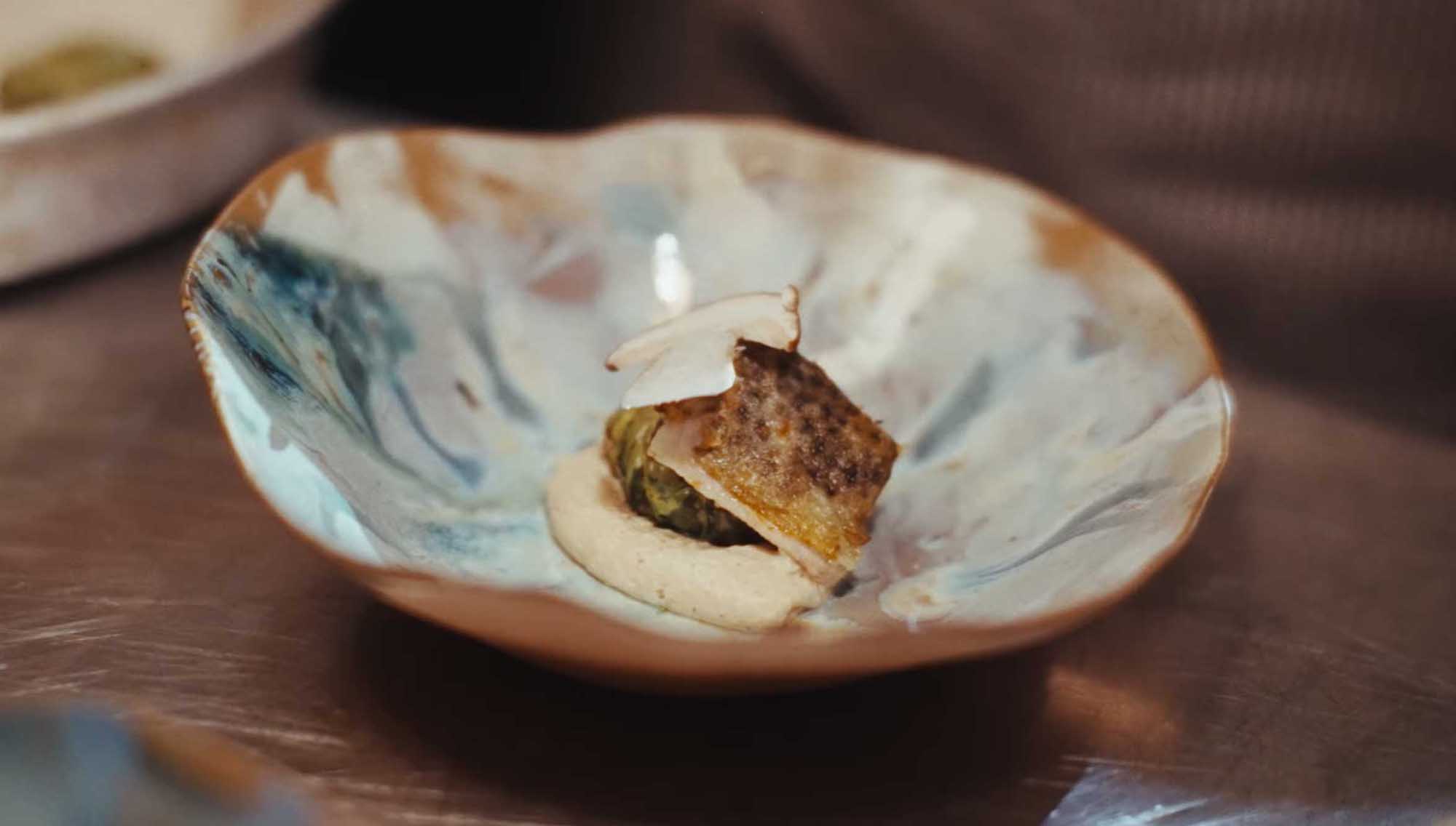 Fish with sauce served on a turquoise and ivory glazed Materia Mensa plate, Episode 1
